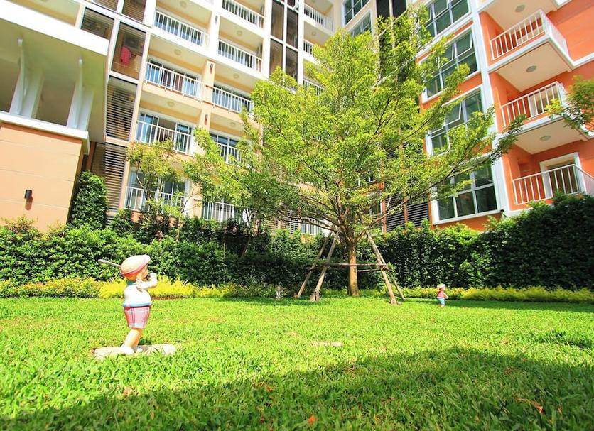 屋外の景色 写真