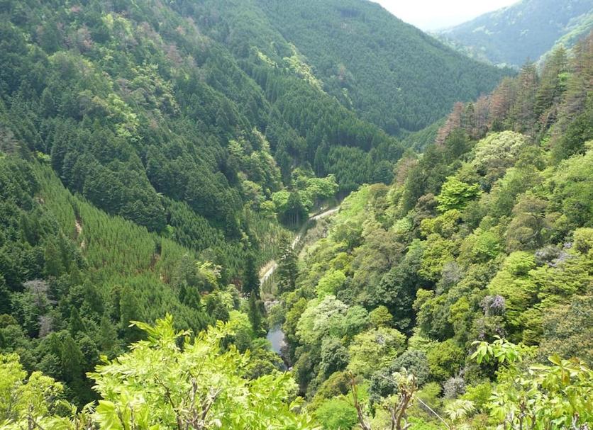 屋外の景色 写真