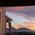 屋外の景色