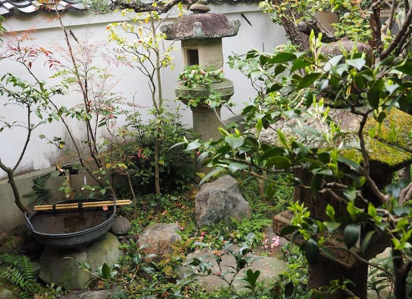 屋外の景色 写真