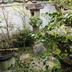屋外の景色
