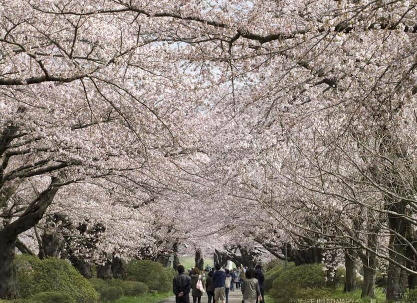 屋外の景色 写真