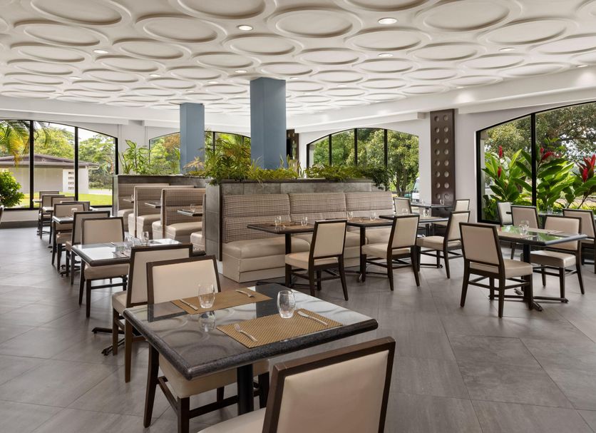 レストラン 写真