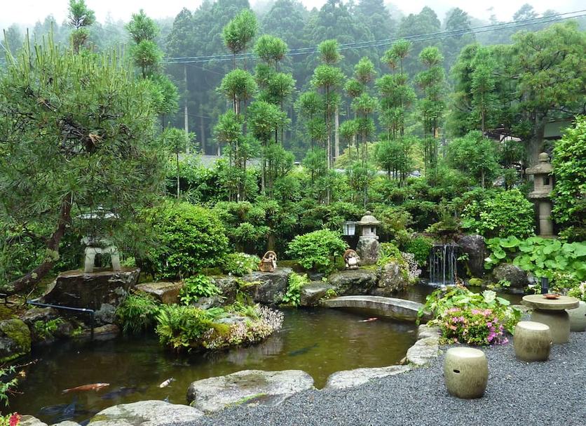屋外の景色 写真