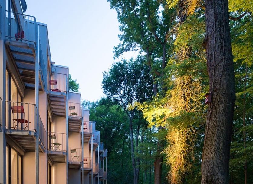 屋外の景色 写真