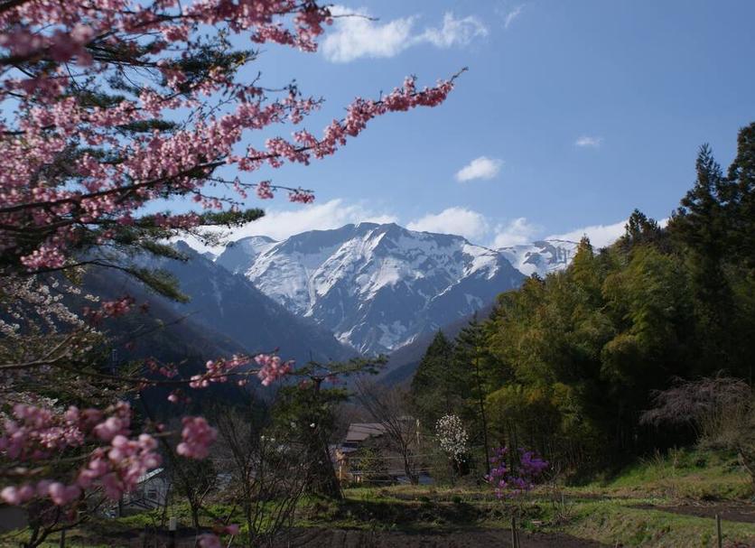 屋外の景色 写真