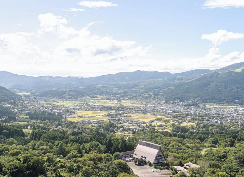 屋外の景色 写真