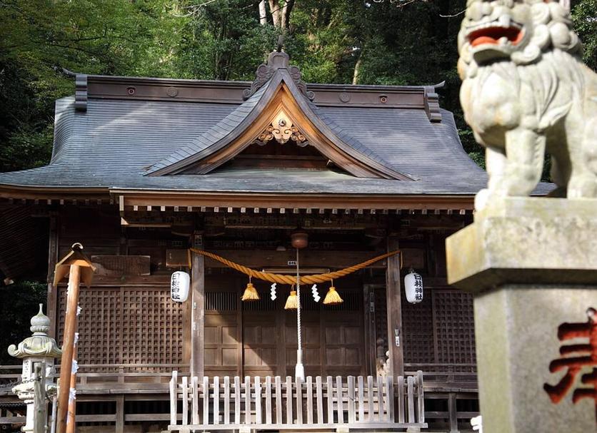 屋外の景色 写真