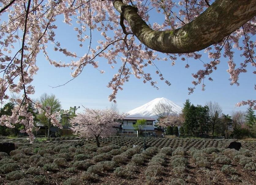 屋外の景色 写真