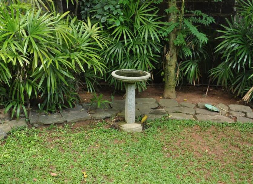 屋外の景色 写真