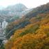 屋外の景色