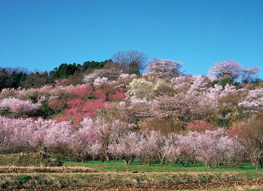 屋外の景色 写真