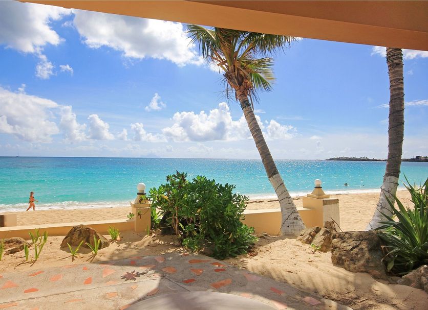 その他 写真