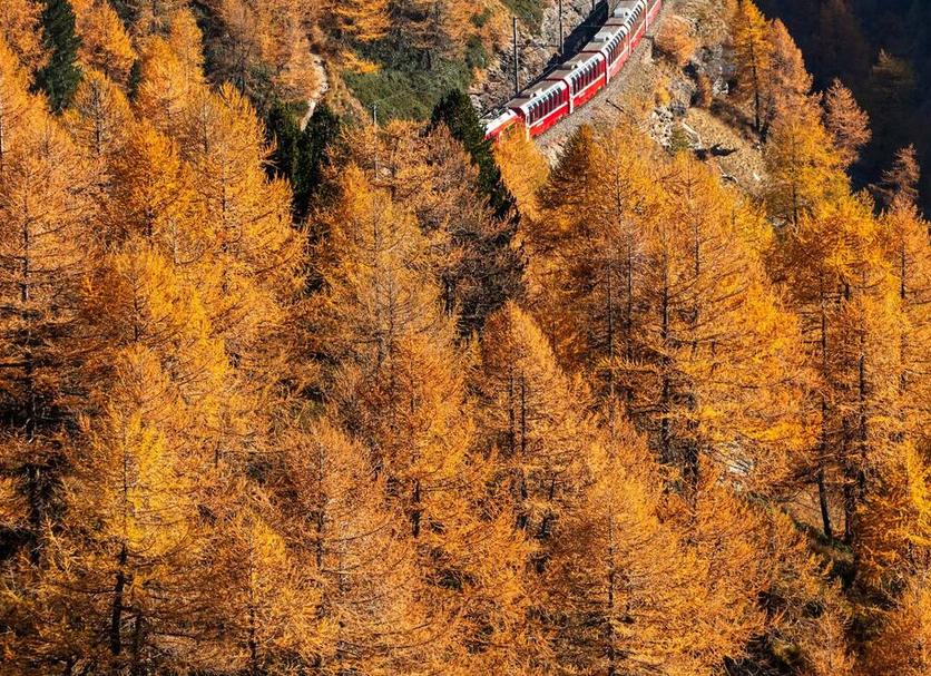 屋外の景色 写真