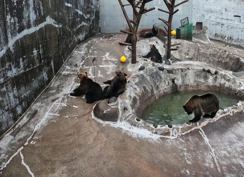 その他 写真