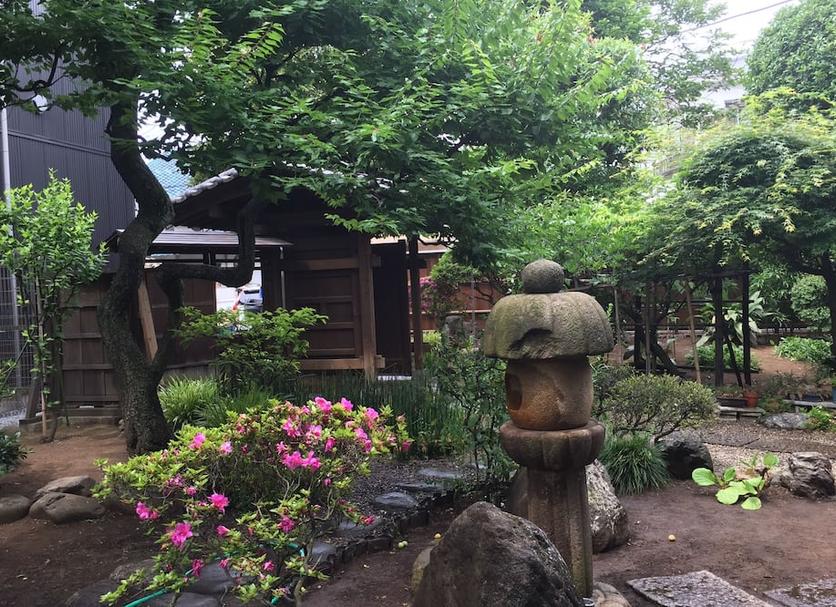 屋外の景色 写真