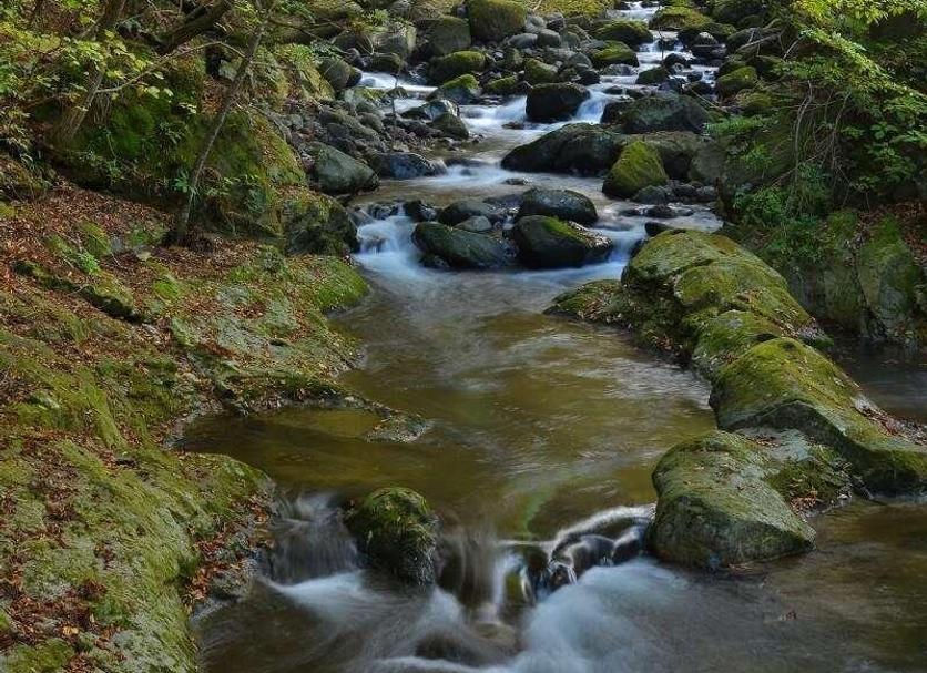 その他 写真