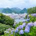 屋外の景色