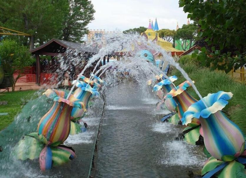 その他 写真