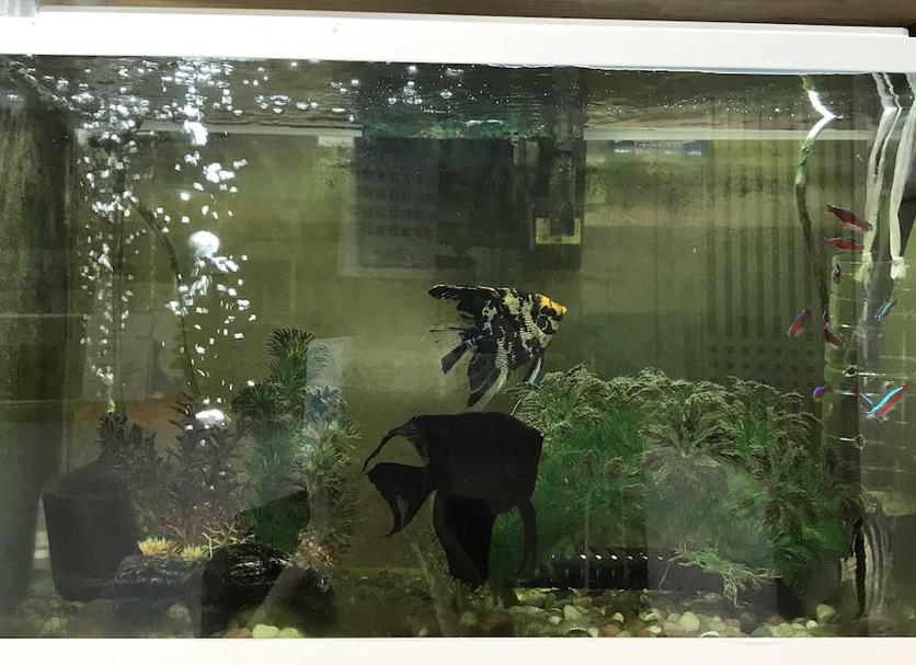 その他 写真