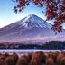 屋外の景色