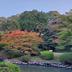 屋外の景色