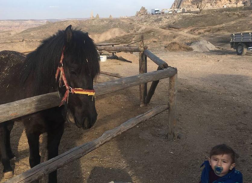 その他 写真