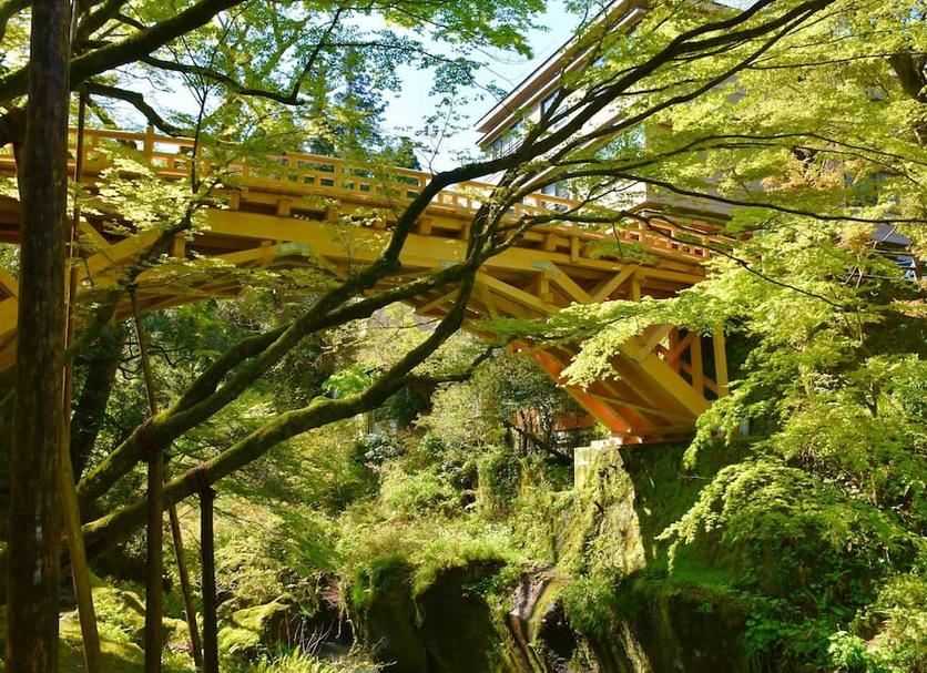 屋外の景色 写真