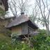 屋外の景色
