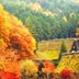 屋外の景色