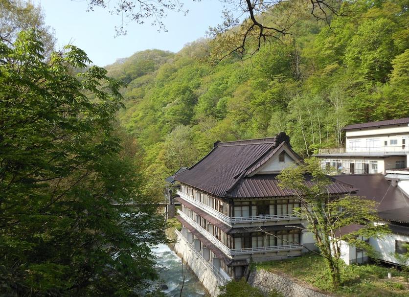 屋外の景色 写真
