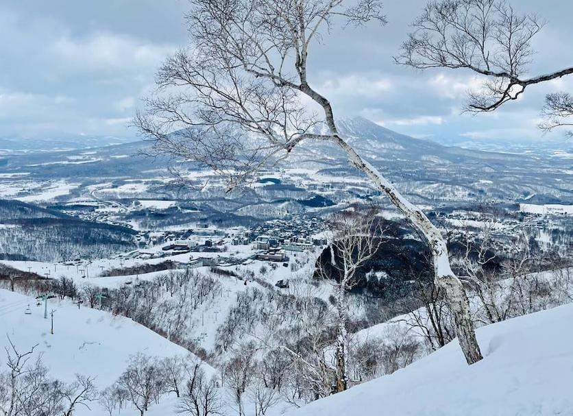 屋外の景色 写真