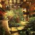 屋外の景色