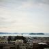 屋外の景色
