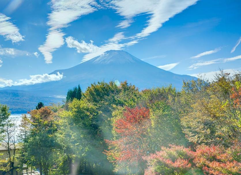 屋外の景色 写真