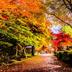 屋外の景色