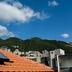 屋外の景色