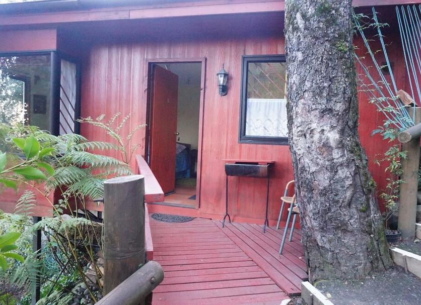 屋外の景色 写真