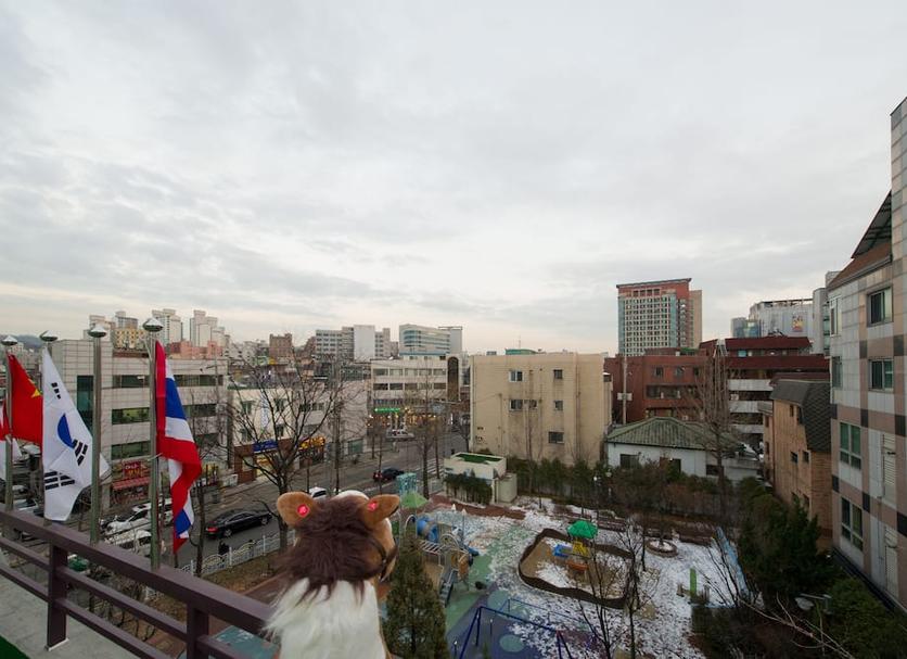 屋外の景色 写真