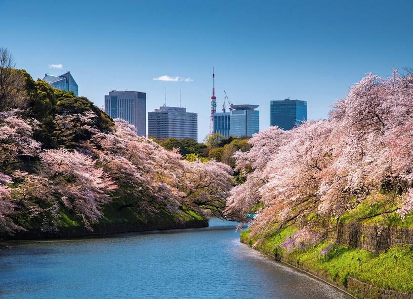 屋外の景色 写真