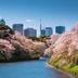 屋外の景色