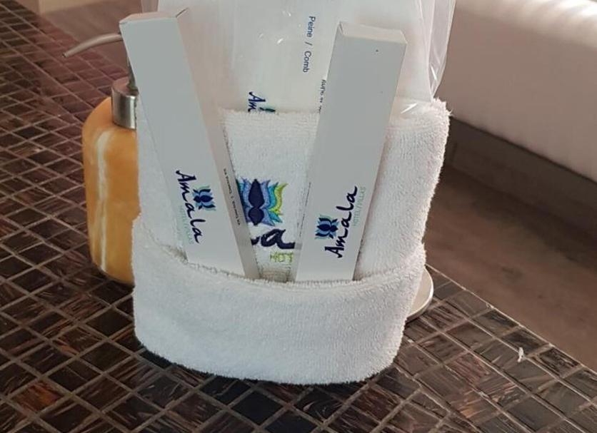 客室の設備 写真