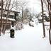 屋外の景色