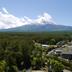 屋外の景色