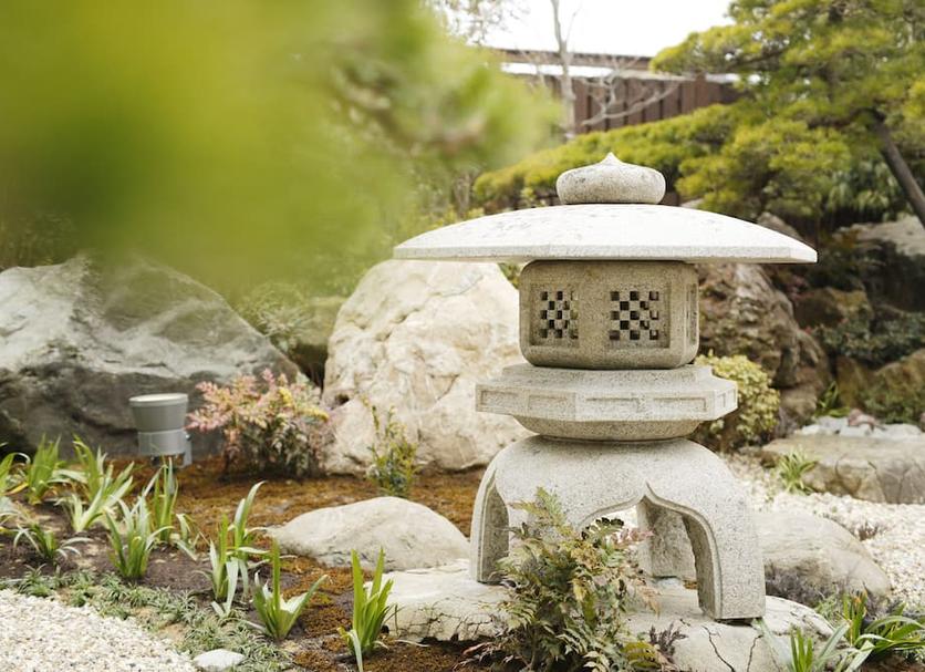 屋外の景色 写真