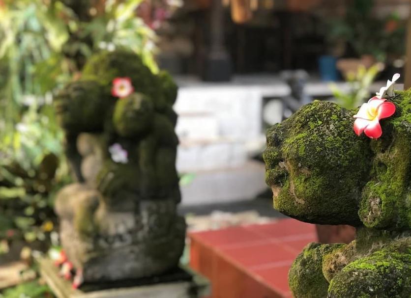 屋外の景色 写真