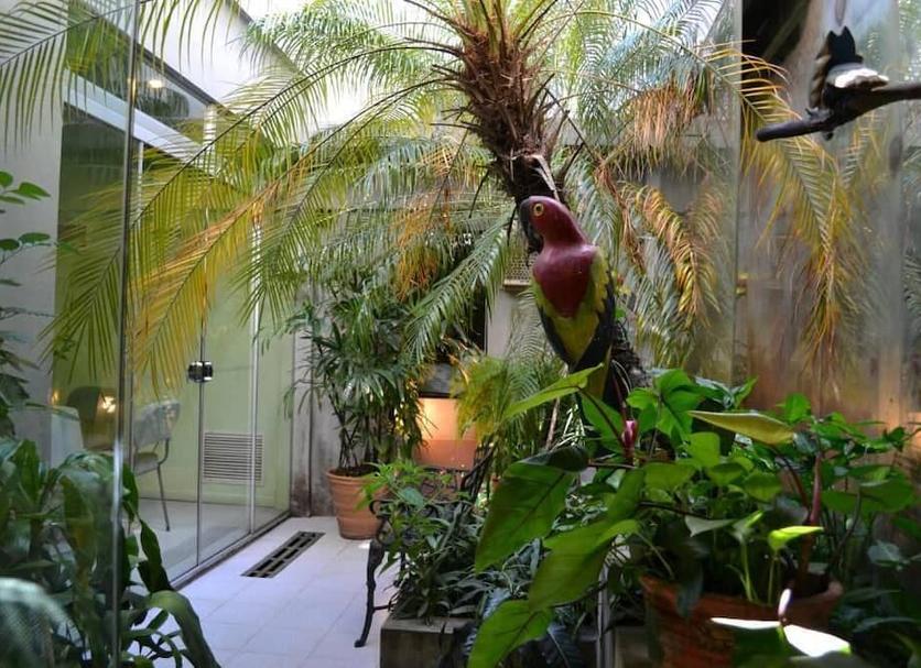 屋外の景色 写真