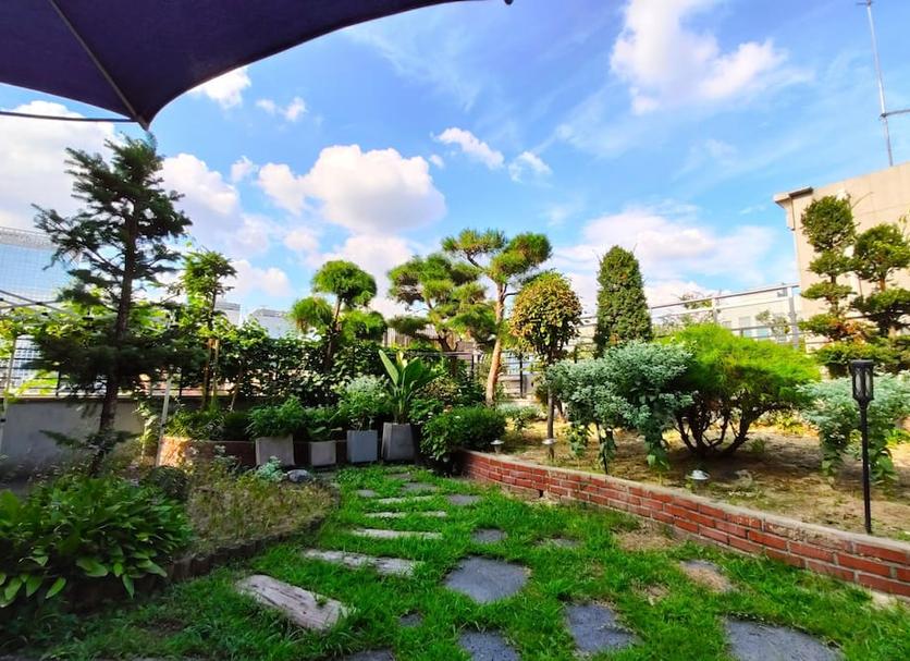 屋外の景色 写真