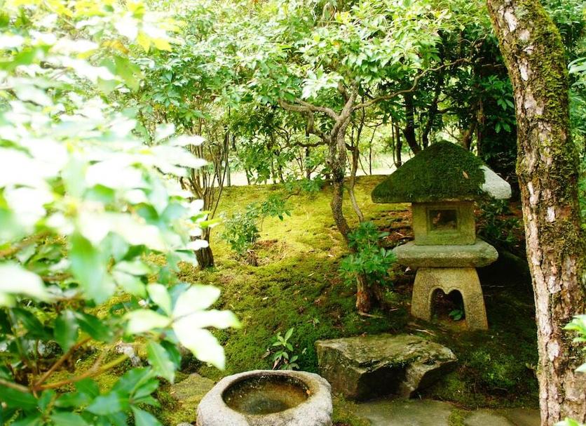 屋外の景色 写真