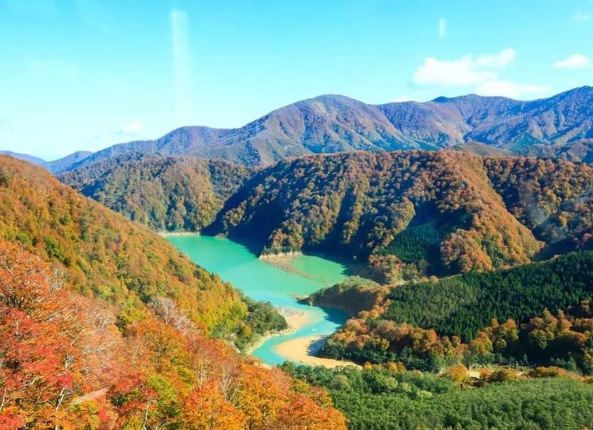 屋外の景色 写真